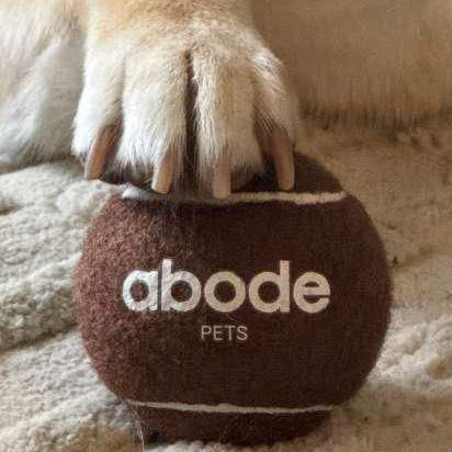 Abode Tennis Ball for Venezuela