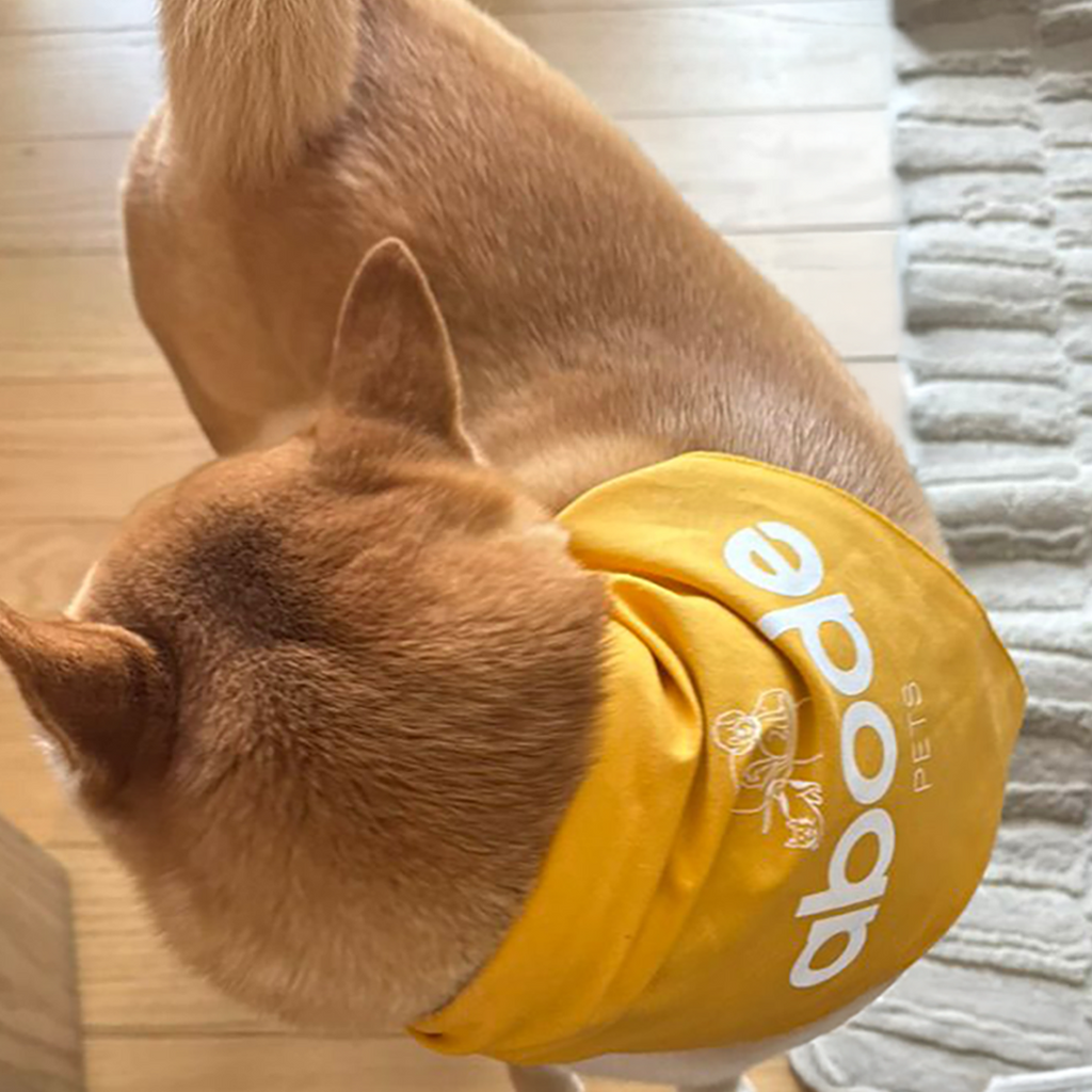 Abode Bandana for Venezuela