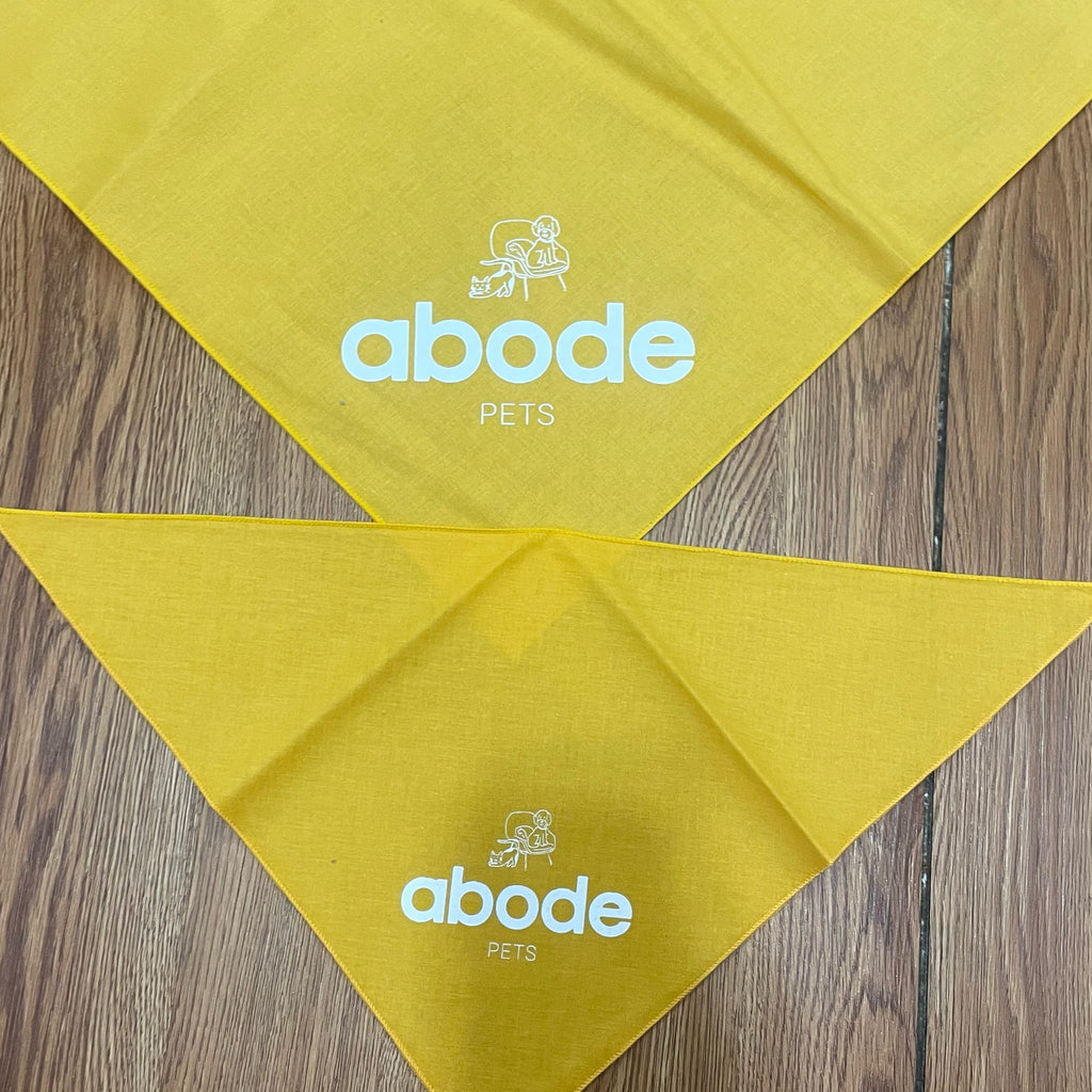 Abode Bandana for Venezuela