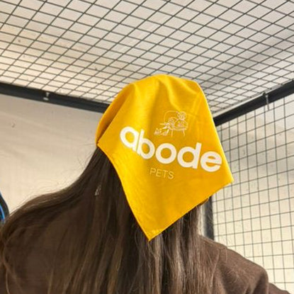 Abode Bandana for Venezuela